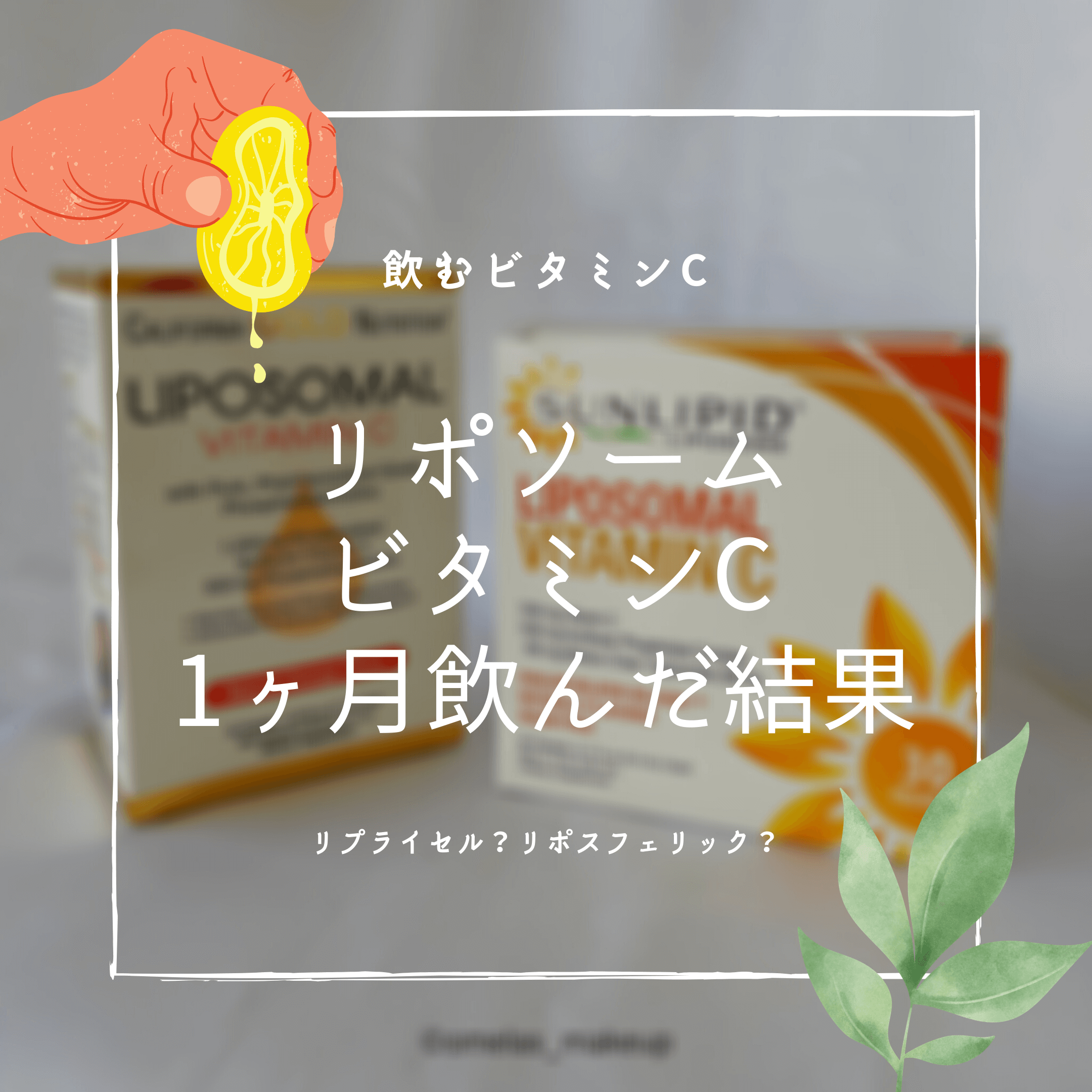 毛穴に効果 Iherbで買うリポソームビタミンcがおすすめ 口コミ 飲み方 リプライセル おめらすあいはー部